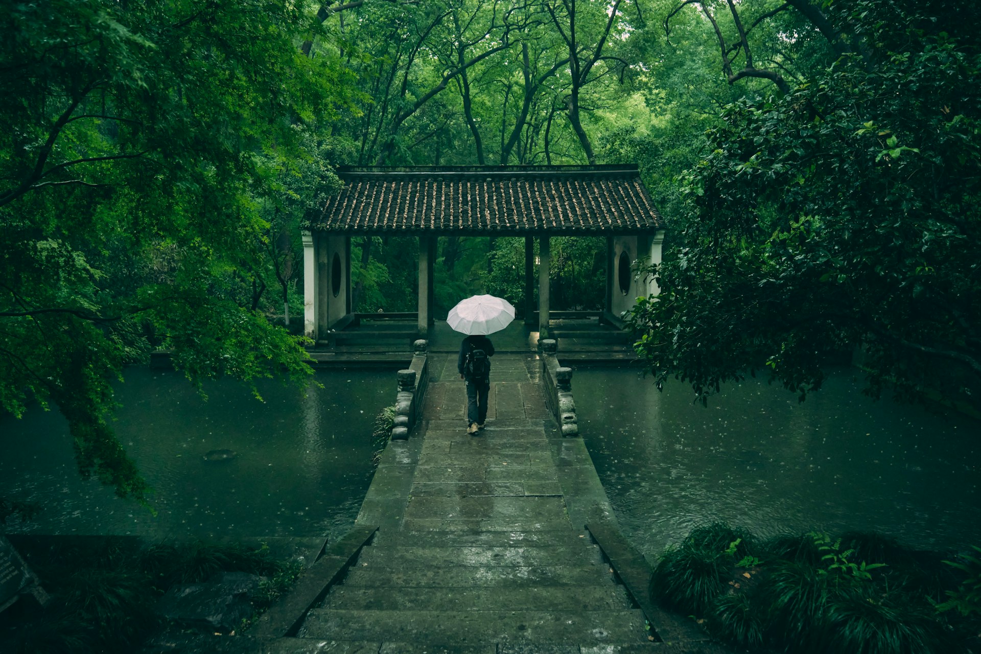 A person walks under an umbrella in the rain.
